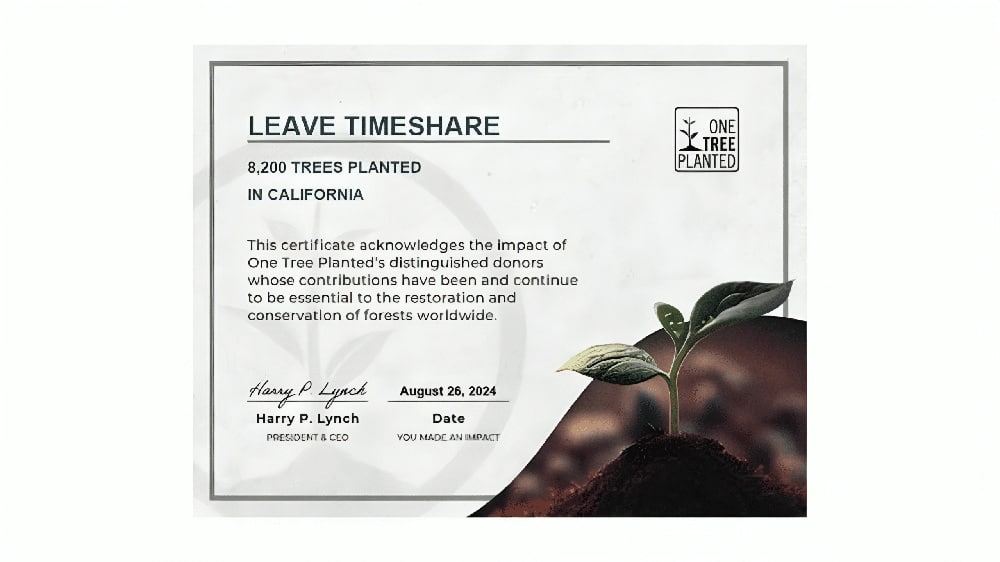 Leave Timeshare - 8,200 Trees Planted